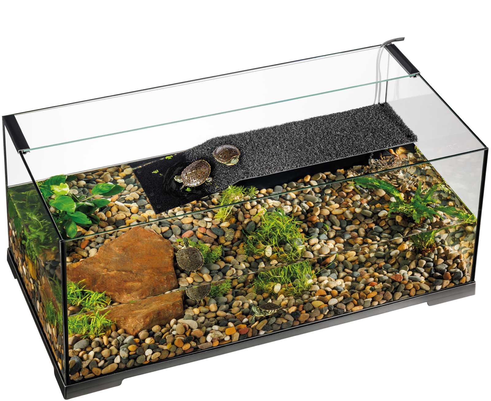 Terrarien
