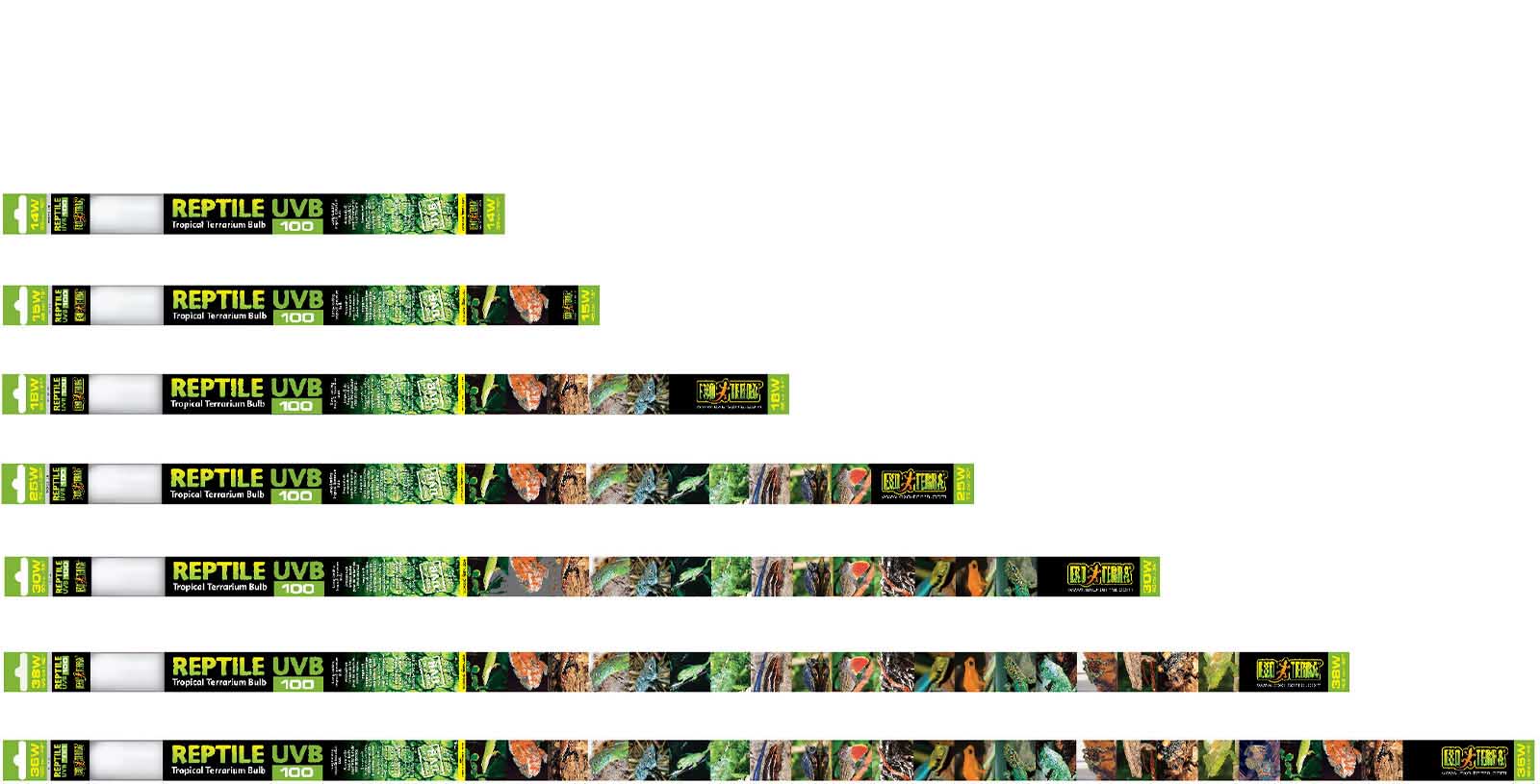 25 Años De Innovación