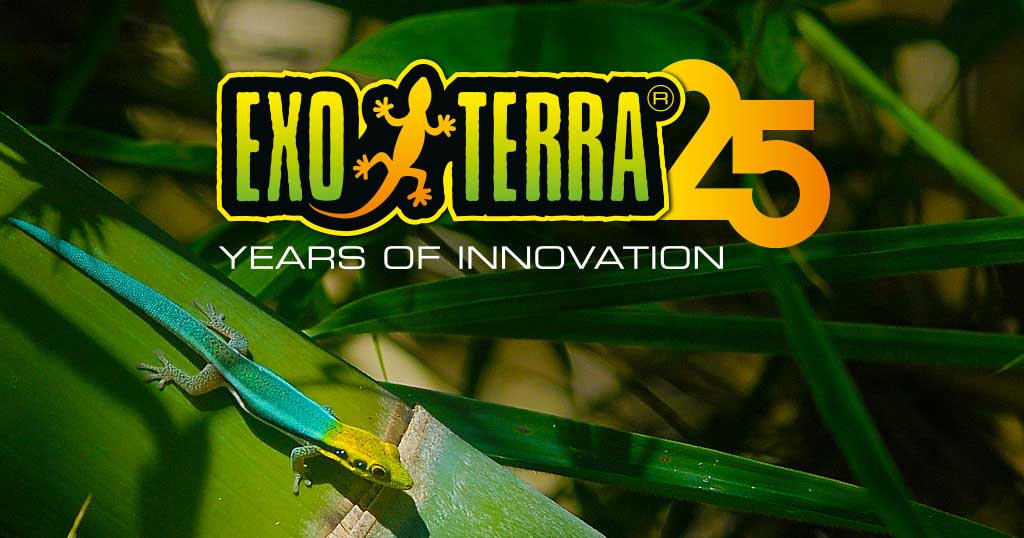25 Años De Innovación