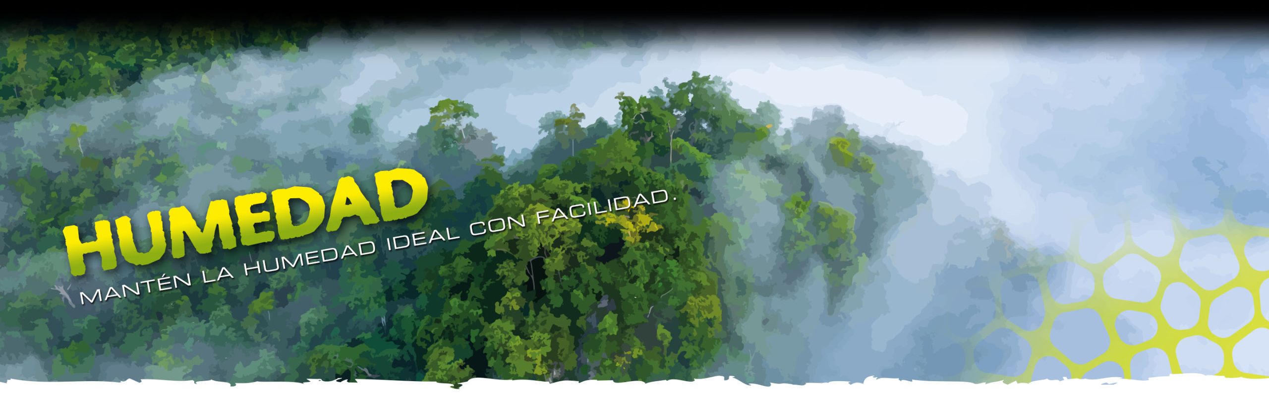 Misters Header