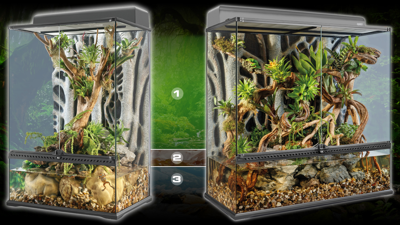 Paludarium_zones
