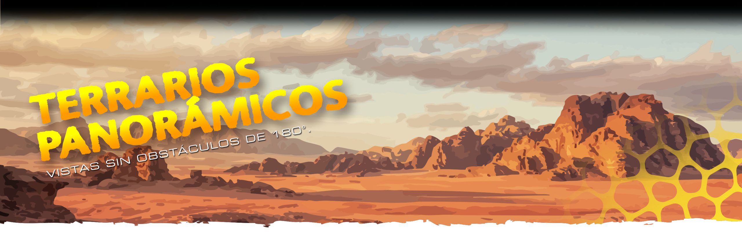 Terrarios Panorámicos