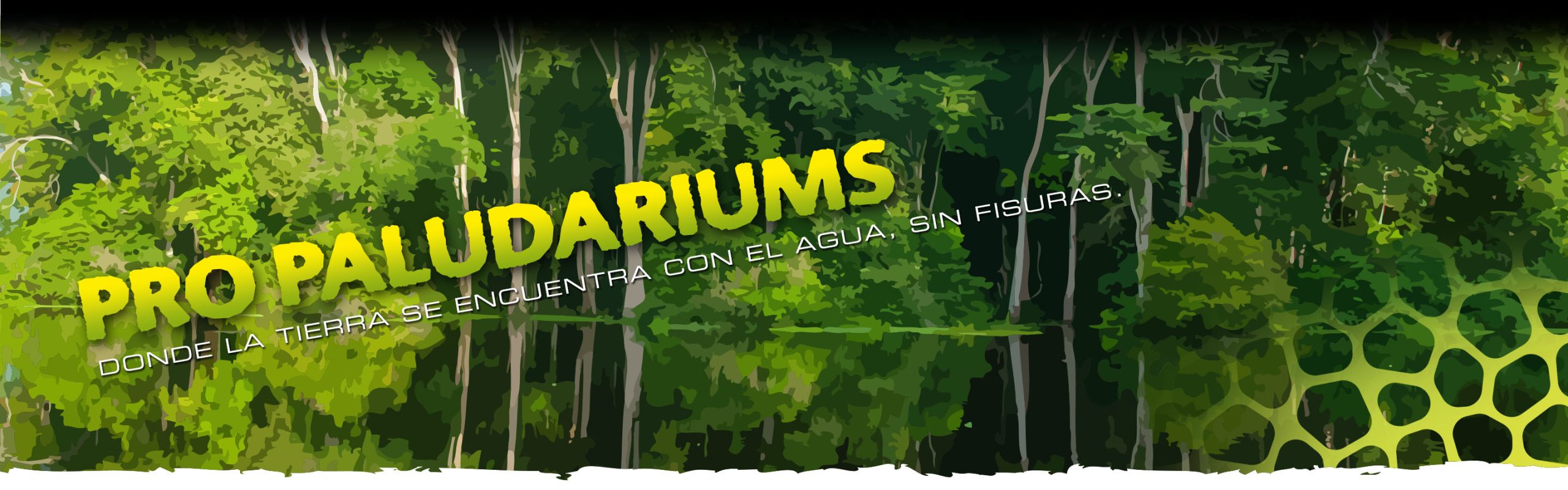 Pro Paludariums