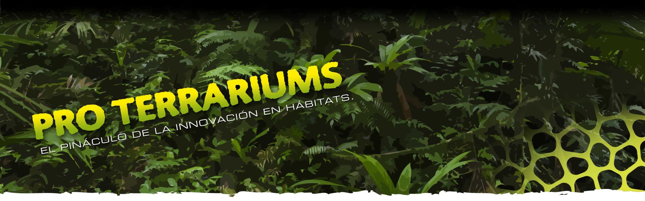 Pro Terrariums