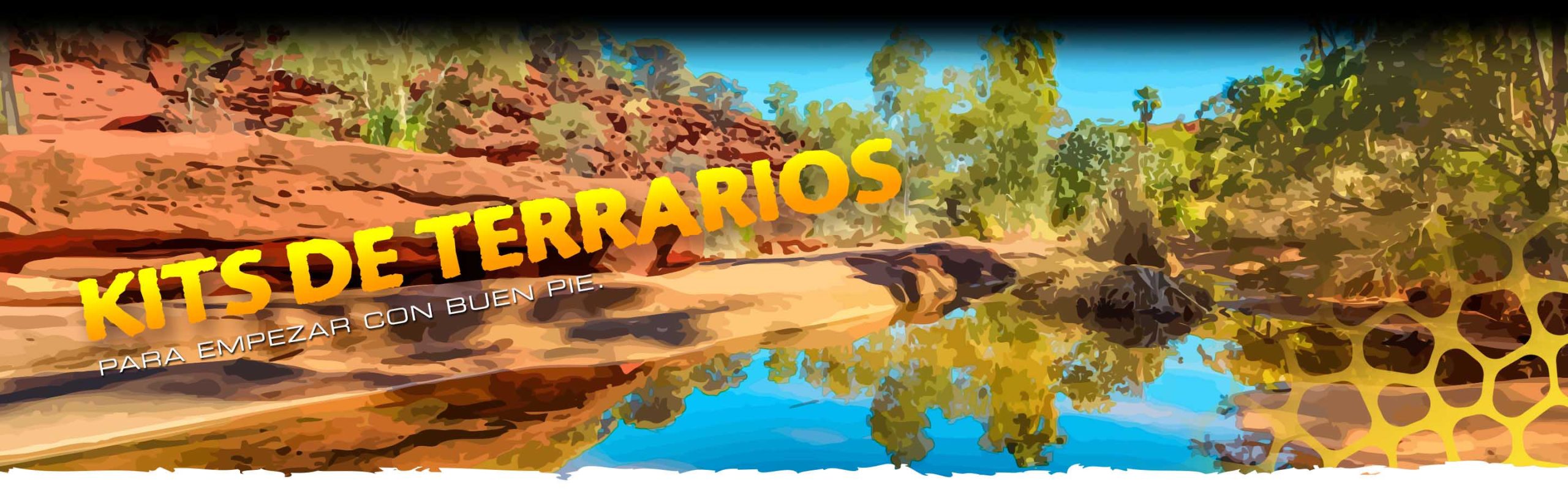 Terrarium Kits Header