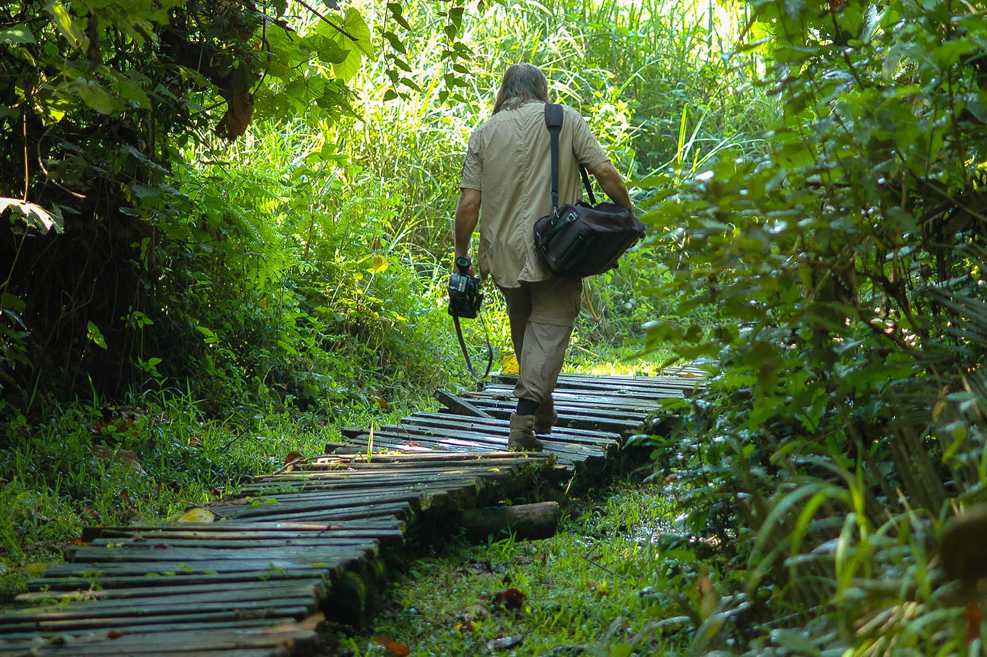 Serpenteando a través de los pantanos de Bigodi, el emblemático sendero teje un camino de descubrimientos, ofreciendo vislumbres de un mundo virgen de flora y fauna diversas.