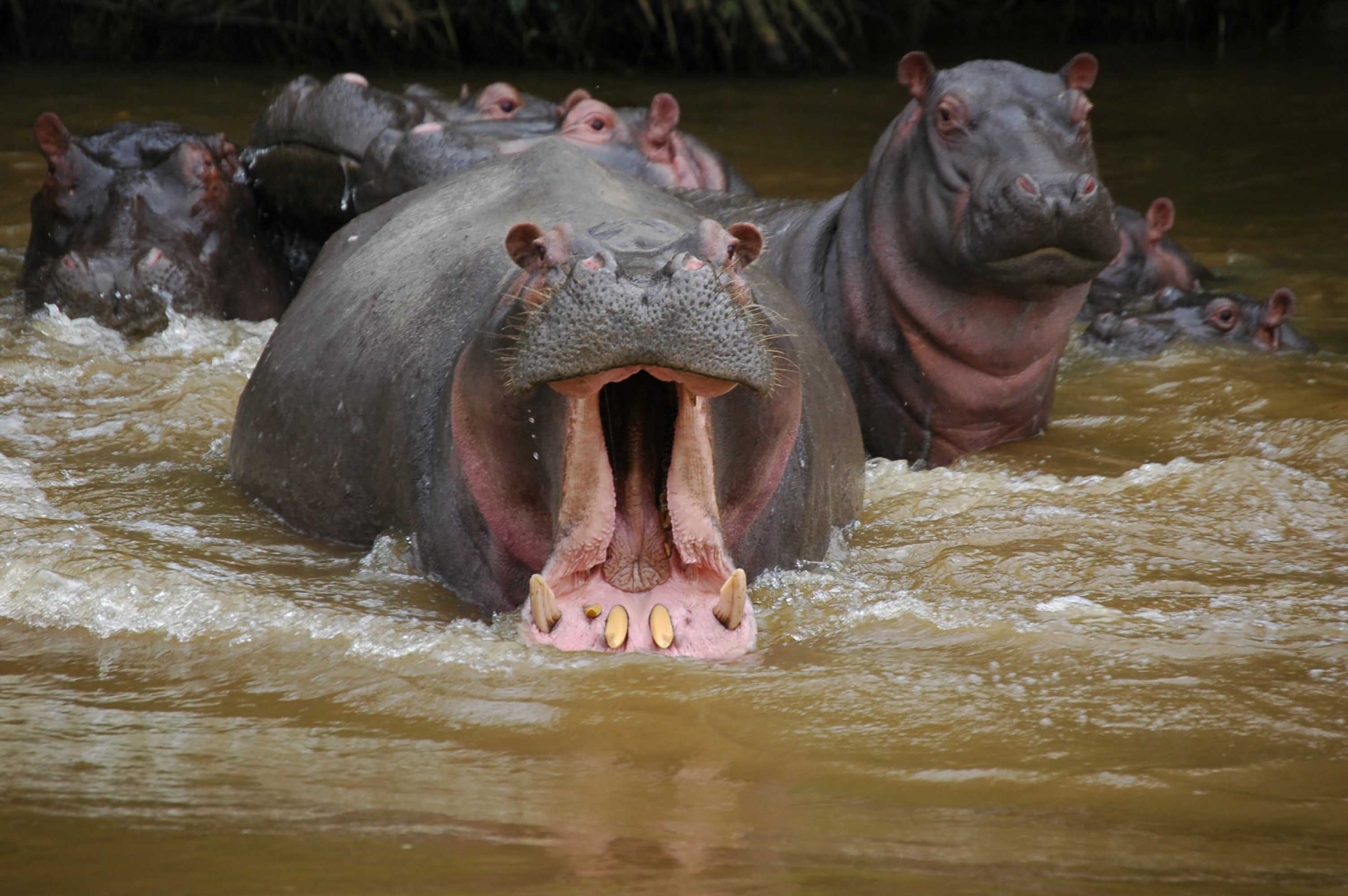 Your caption here…