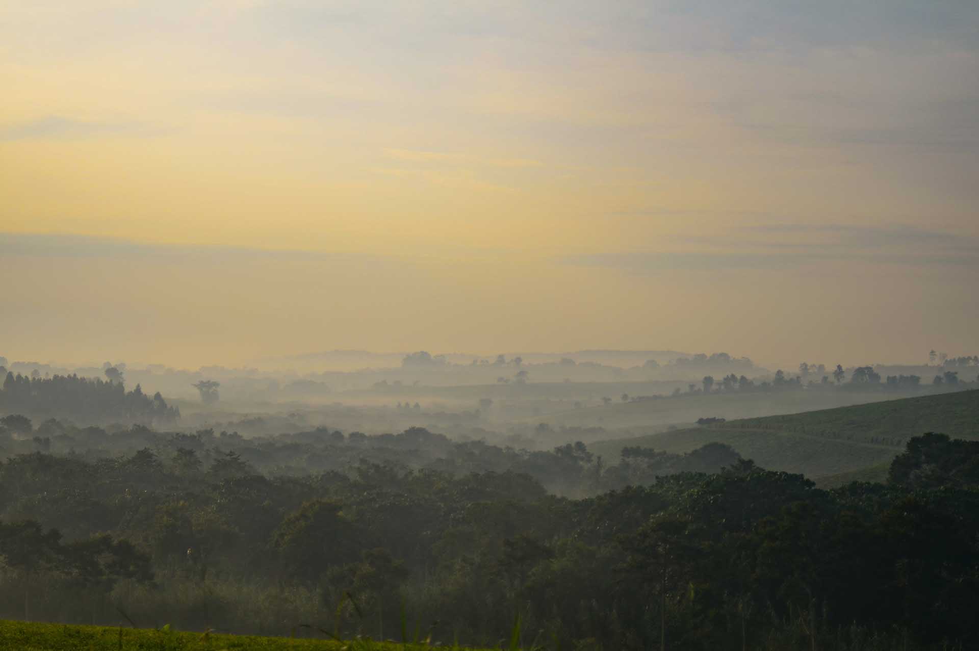 Amanecer sobre el bosque de Kibale