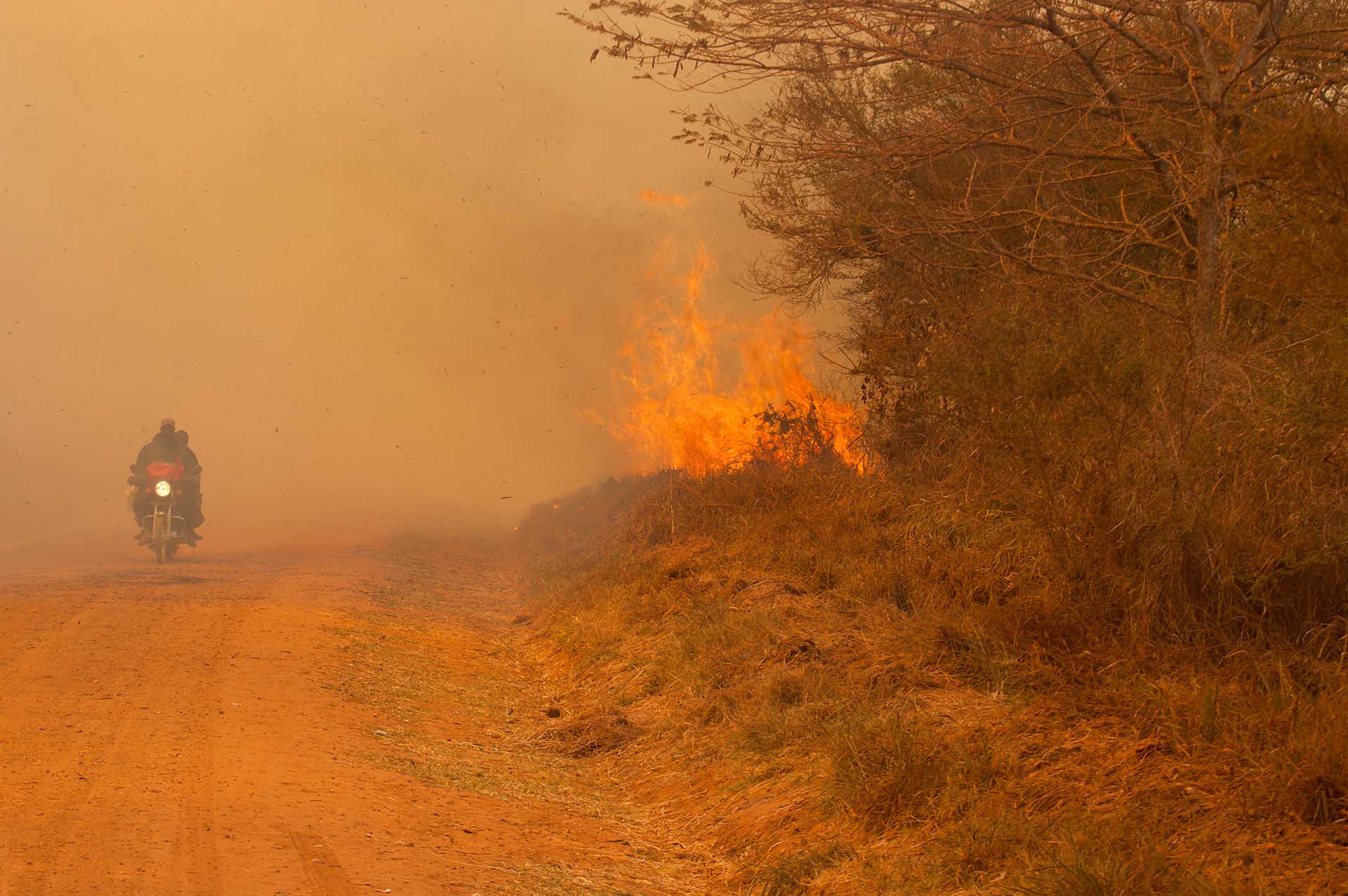 Límites invasores: La incesante marcha de la expansión humana para la habitación y la agricultura supone una amenaza inminente para la santidad prístina del bosque