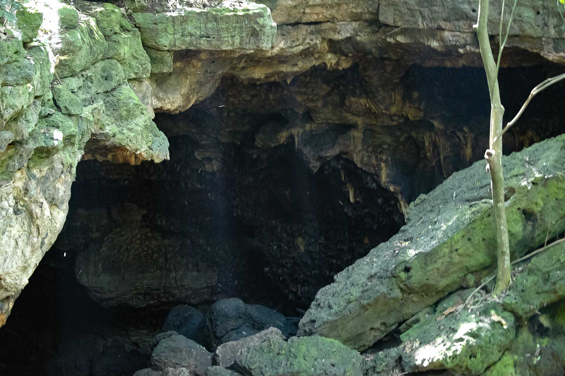 Portal a otro mundo: La entrada a la Batcueva desvela un universo en sí mismo