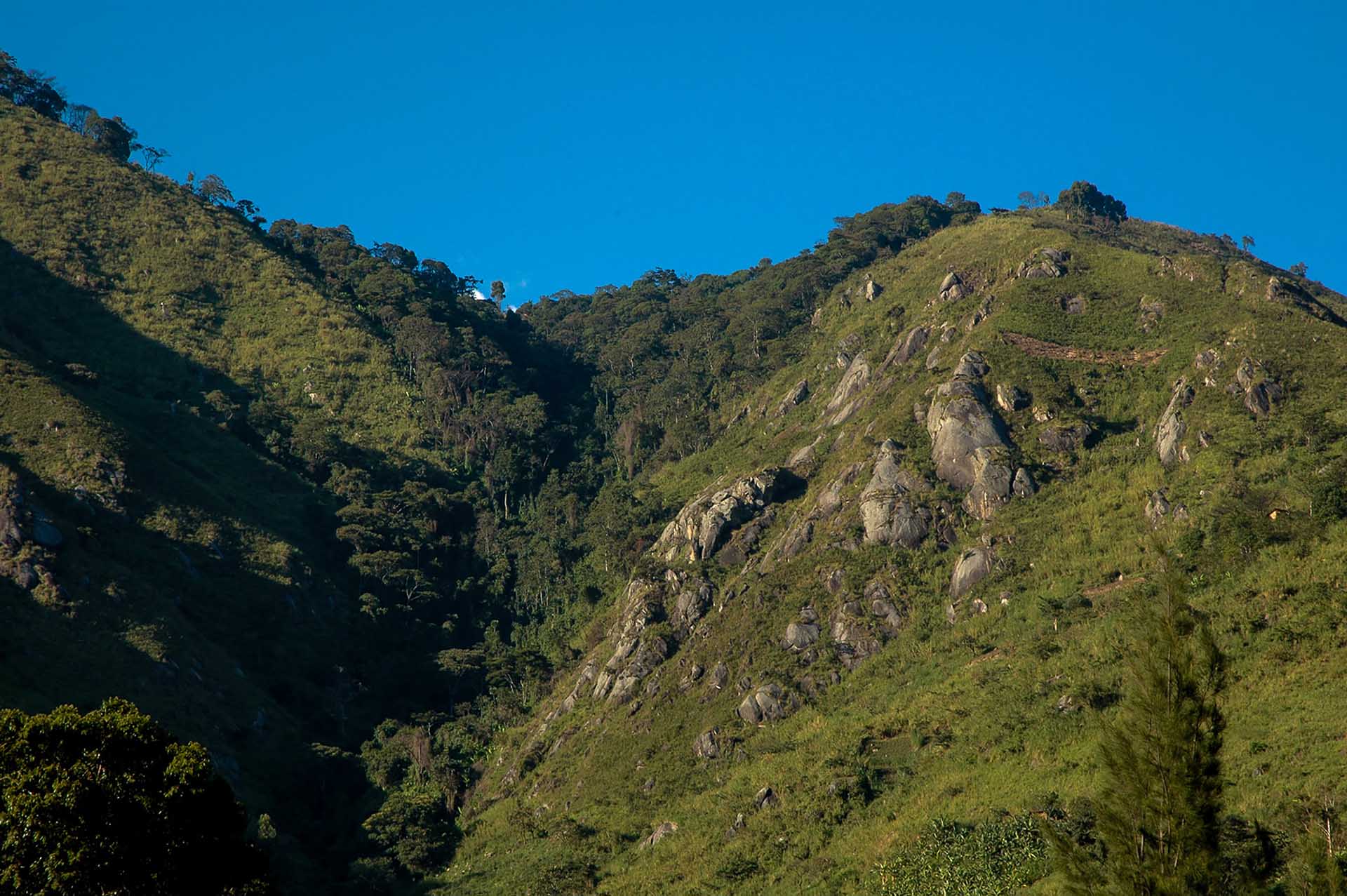 Desde nuestro campamento base, la silueta ondulada de los picos más bajos del Rwenzori se extiende por el horizonte, pintando un cuadro de belleza cruda e intacta.