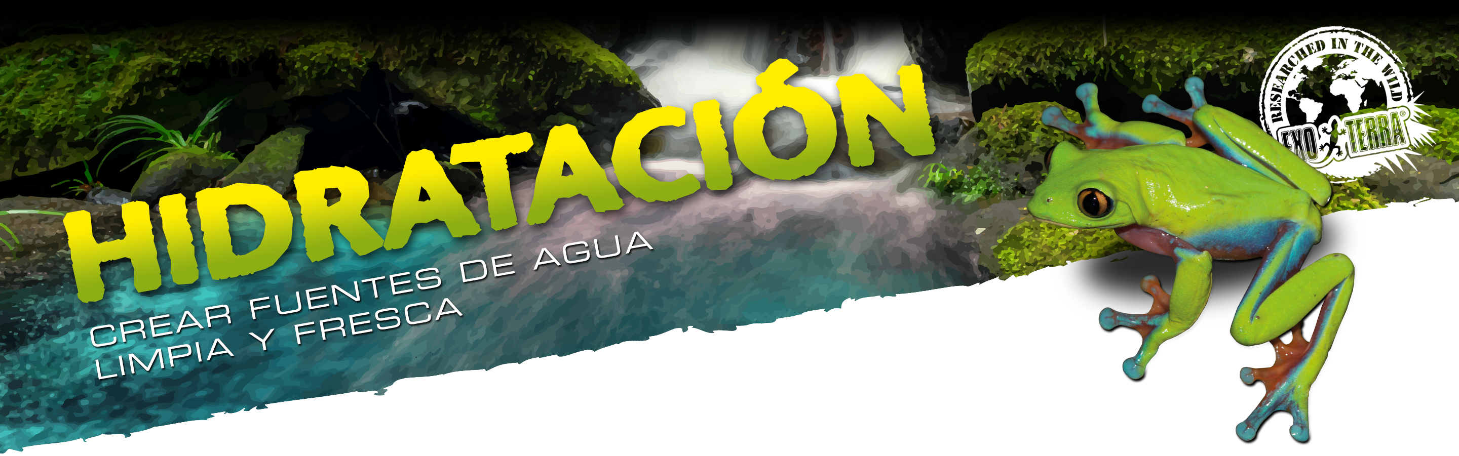 Hidratación