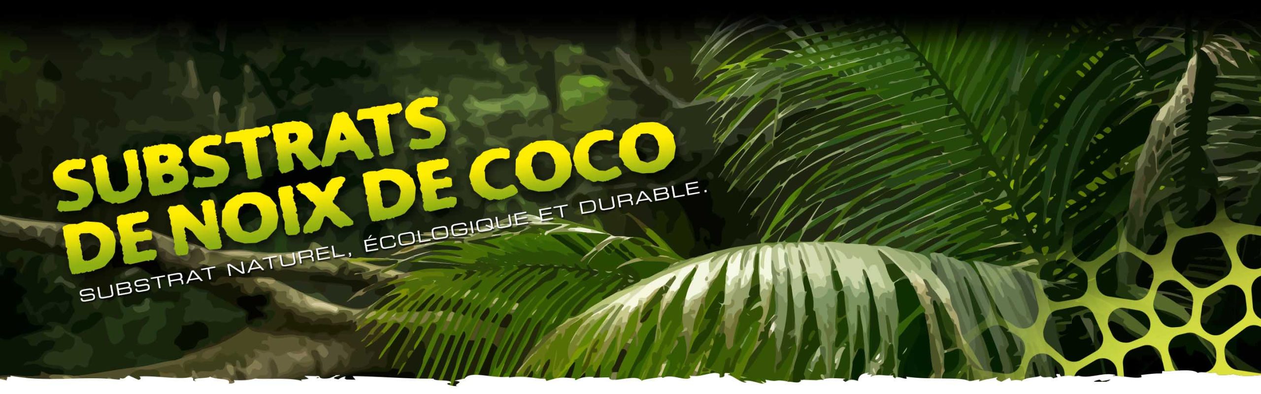 Coconut Substrates Header