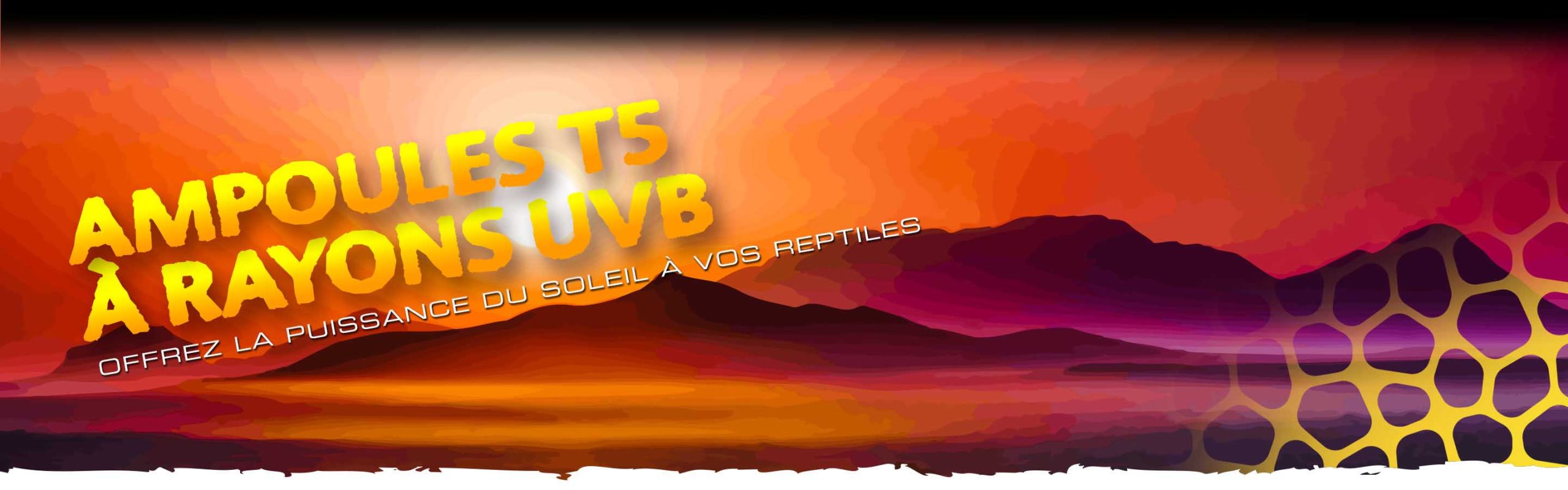 Ultraviolet Lights Header
