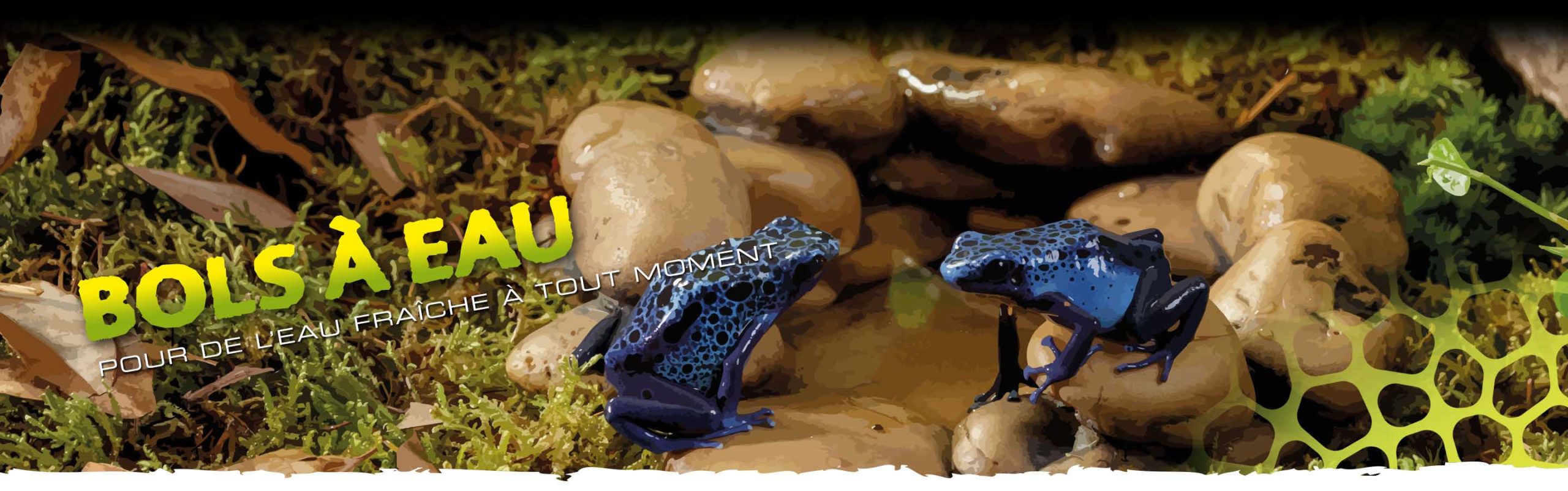 Bols à eau