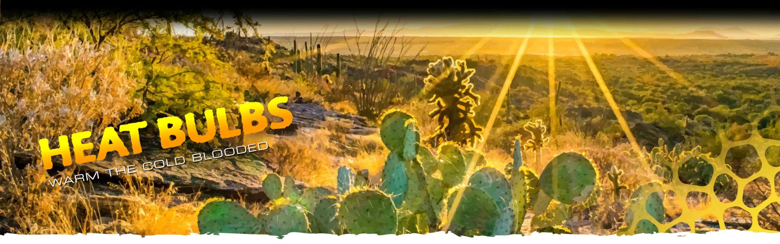 Heat Lamps Header