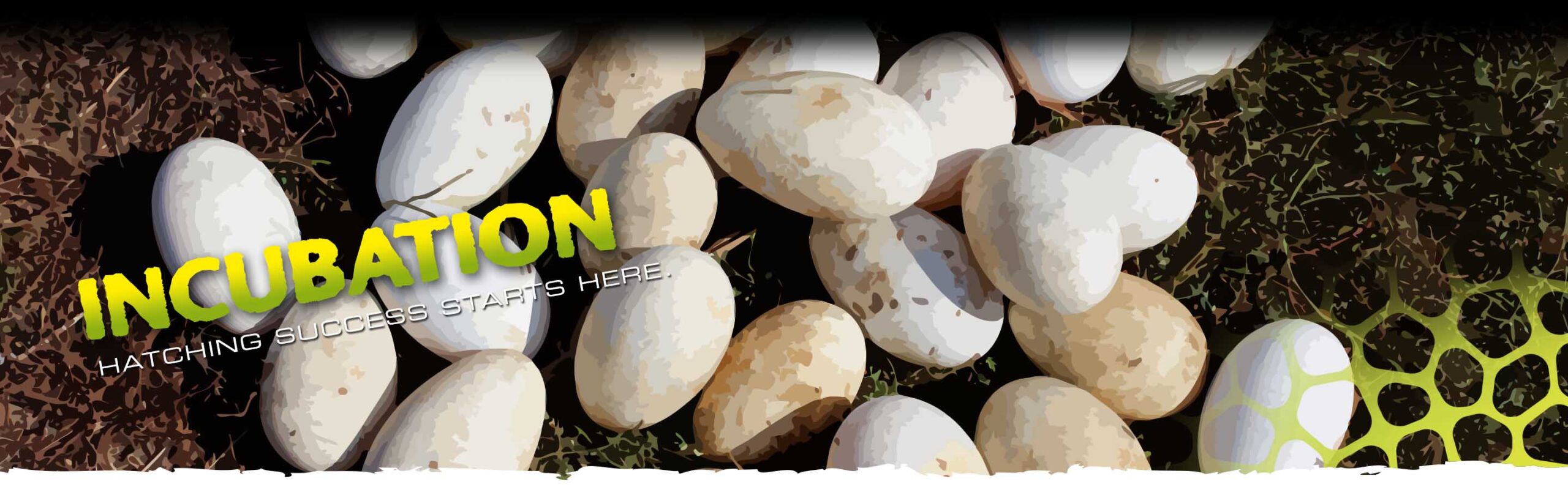 Incubation Header