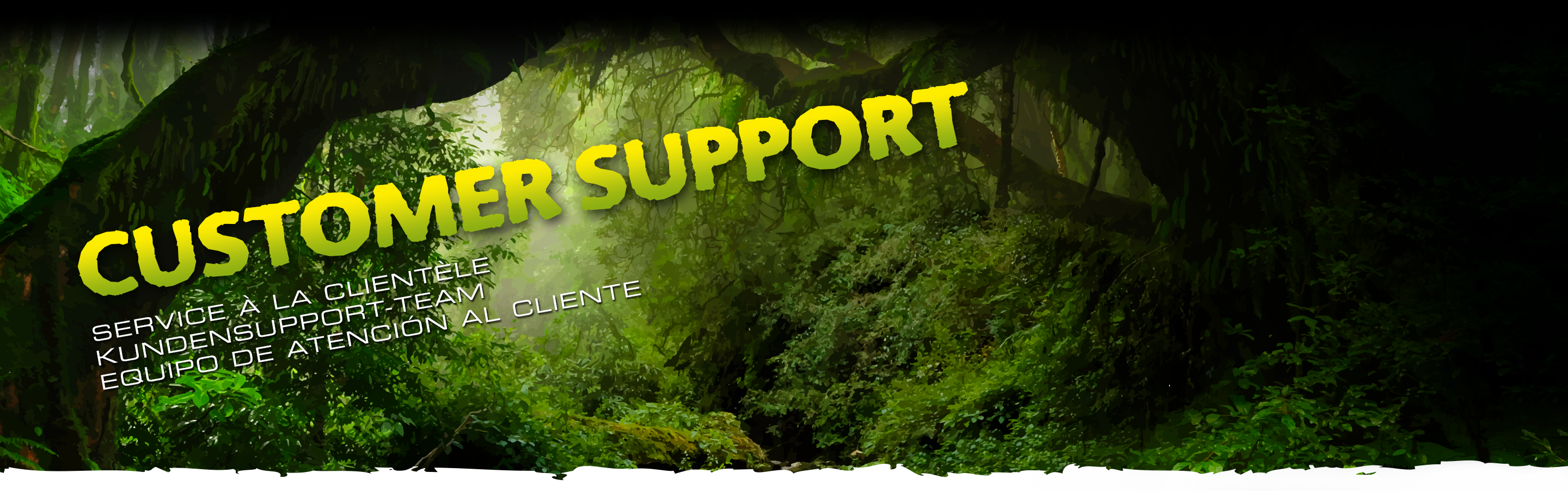 Global Customer Support