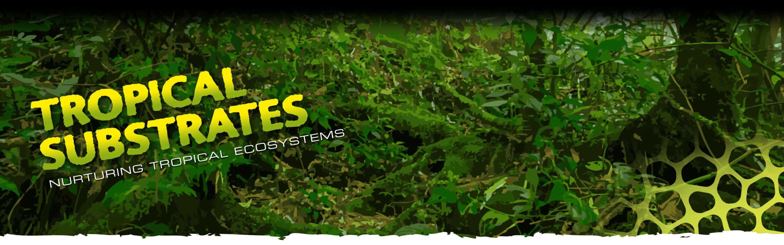 Tropical Substrates Header