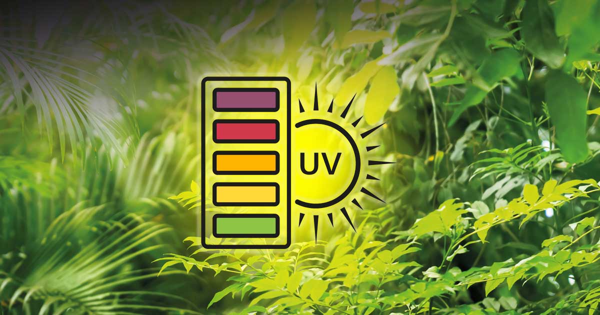 What is UVB-lighting